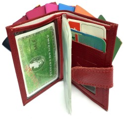 Porte-carte cuir, fermeture à patte pression, format carnet, pochette plastifiée pour 14 cartes, fidélités, visite