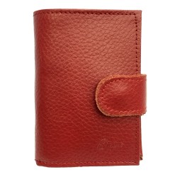 Porte-carte cuir, fermeture à patte pression, format carnet, pochette plastifiée pour 14 cartes, fidélités, visite